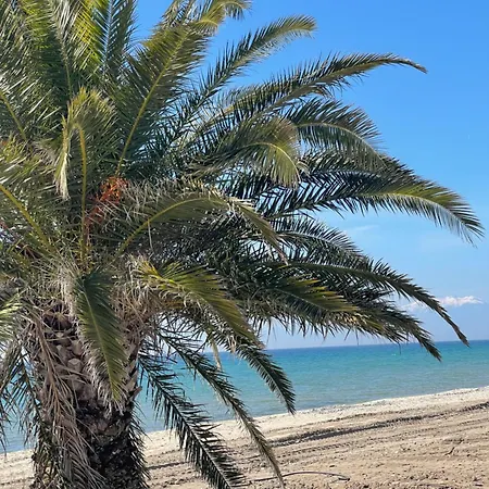 Hébergement de vacances Blue Pearl House